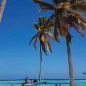 isla_saona-4